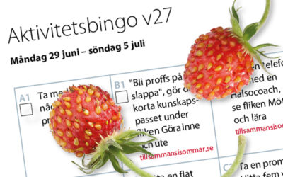 Veckans aktivitetsbingo V 27