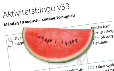 Aktivitetsbingo vecka 33