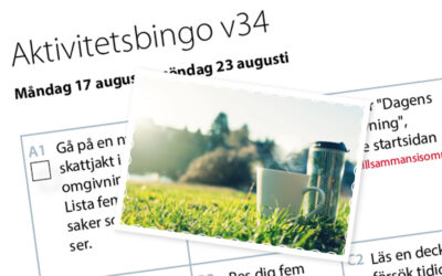 Aktivitetsbingo vecka 34