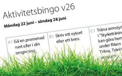 Aktivitetsbingo vecka 26