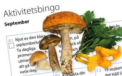 Månadens aktivitetsbingo september