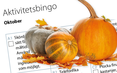 Månadens aktivitetsbingo oktober