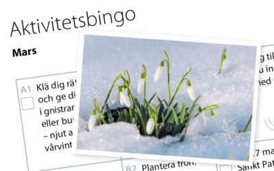 Månadens aktivitetsbingo mars